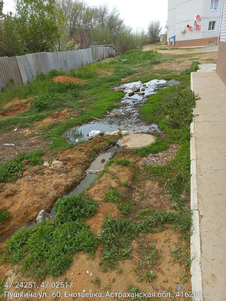 В Астраханской области суд удовлетворил иск Росприроднадзора к ГКУ АО «Дирекция Энергосбережения и ЖКХ» о возмещении вреда почве