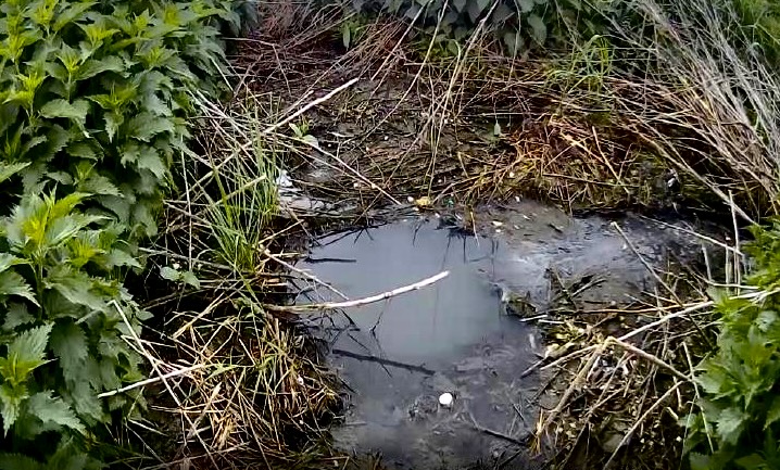 По результатам выездного обследования с отбором проб сточной воды и почв в районе ул. Садовая д. Карпова Орловского муниципального округа установлено превышение предельно допустимых концентраций загрязняющих веществ