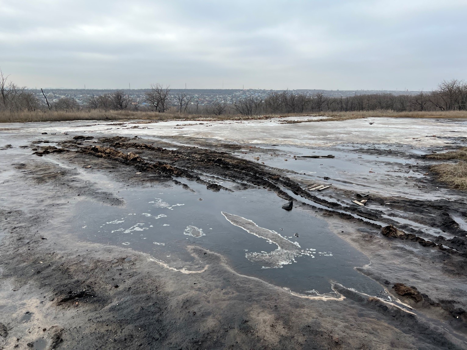 Инспекторы Росприроднадзора установили факт загрязнения почвы на территории Тракторозаводского района г. Волгограда