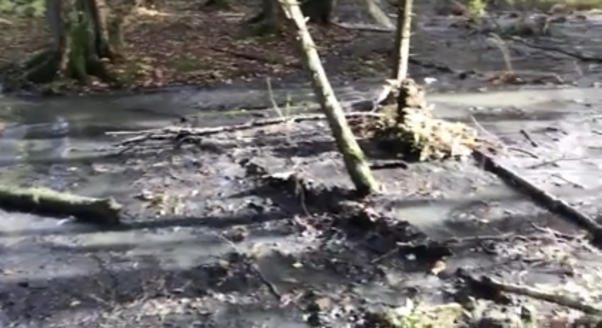 Росприродназор по СЗФО выявил многочисленные нарушения в деятельности ГУП «Леноблводоканал»