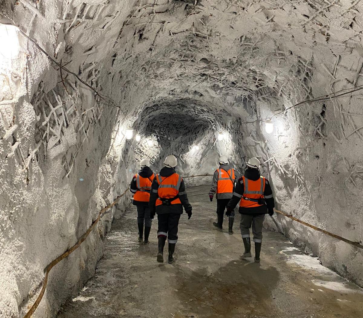 Инспекторы Росприроднадзора проводят внеплановую проверку   АО «Сафьяновская медь»