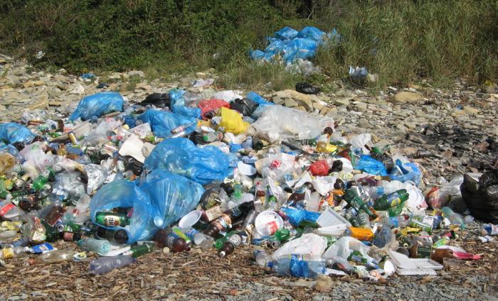 Администрация Пензенского района должна устранить несанкционированную свалку отходов ТКО