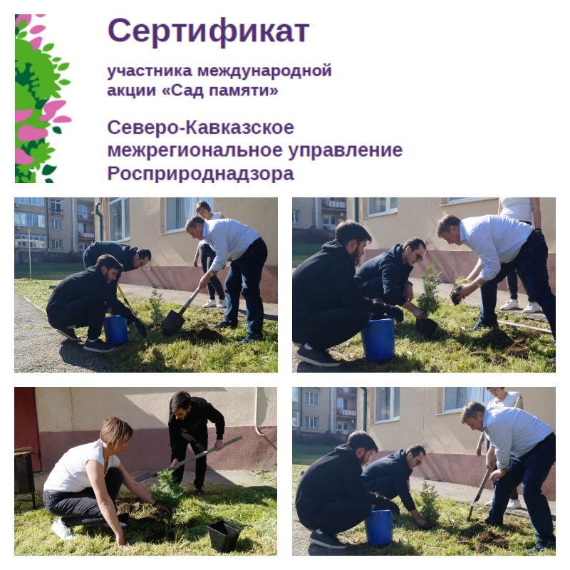 Сотрудники Северо-Кавказского управления Росприроднадзора продолжили участвовать в международной акции «Сад памяти» в «Праздник весны и труда» - Память жива