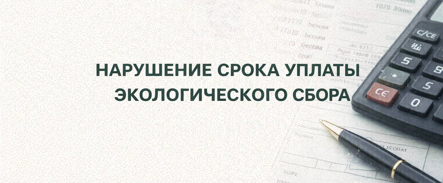 Ответственность за неуплату экологического сбора в установленные законодательством сроки по ст.8.41.1 КоАП РФ.
