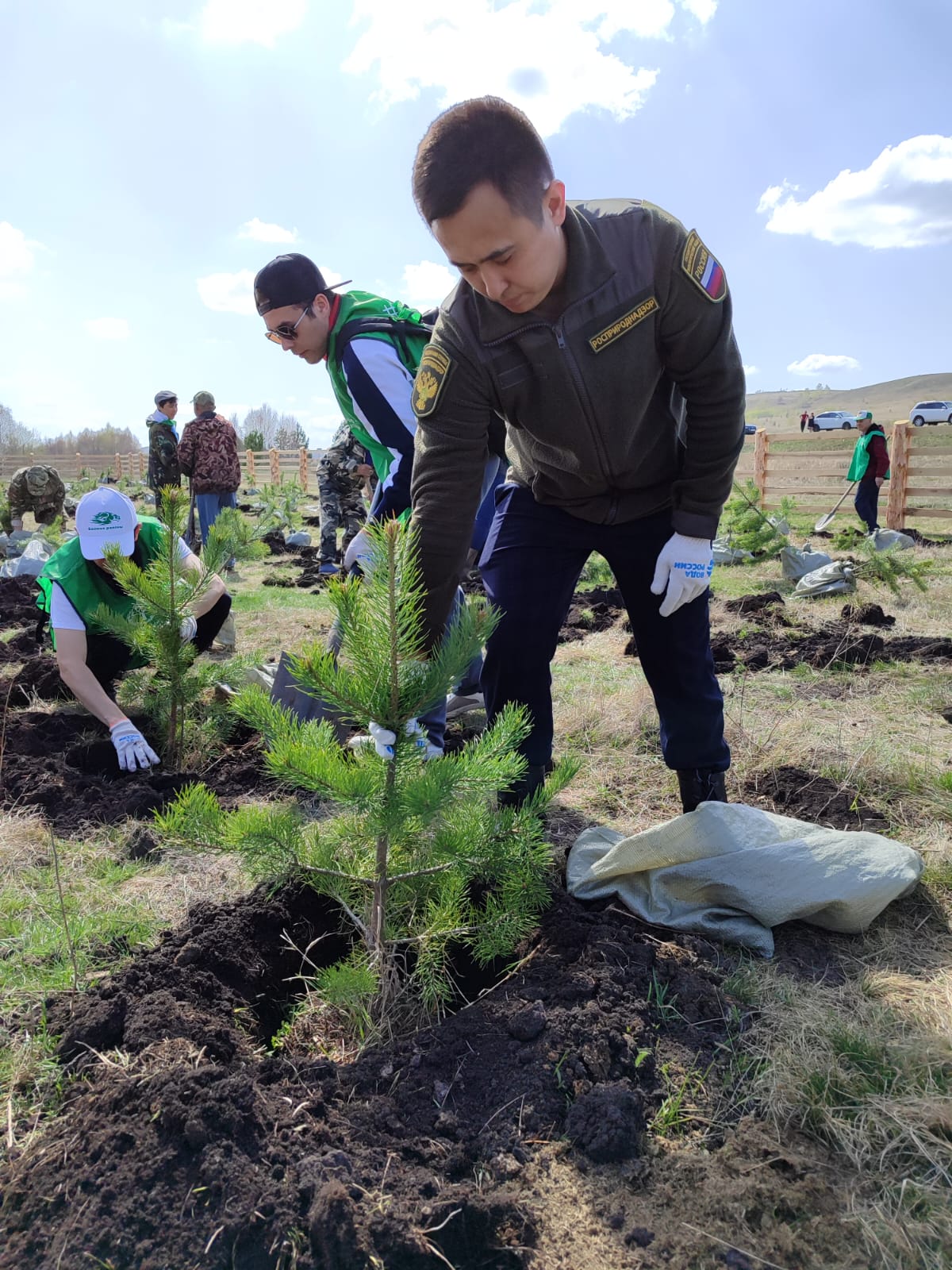 Сотрудники Росприроднадзора приняли участие в экологическом субботнике 