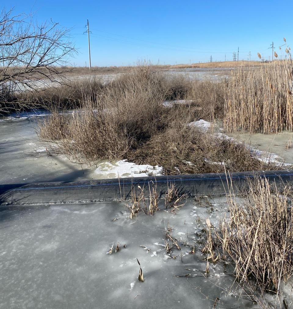 Росприроднадзор взыскал вред, причиненный почвам в размере    840 369 рублей