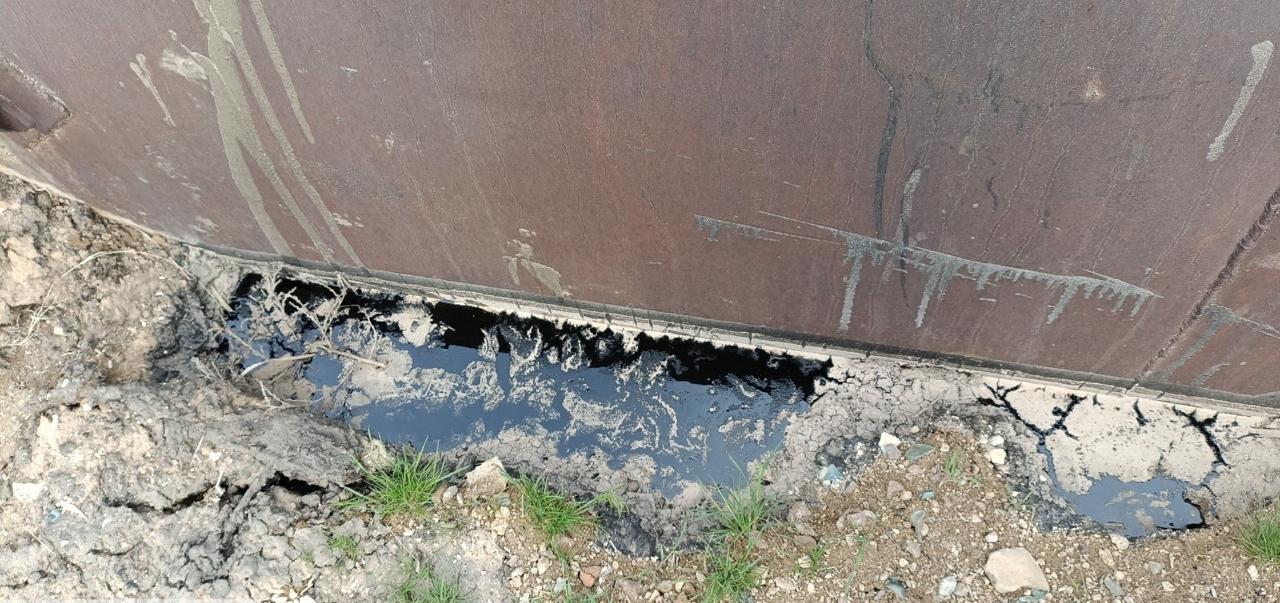 Росприроднадзором приняты меры в отношении ООО «ЭкоВтор»