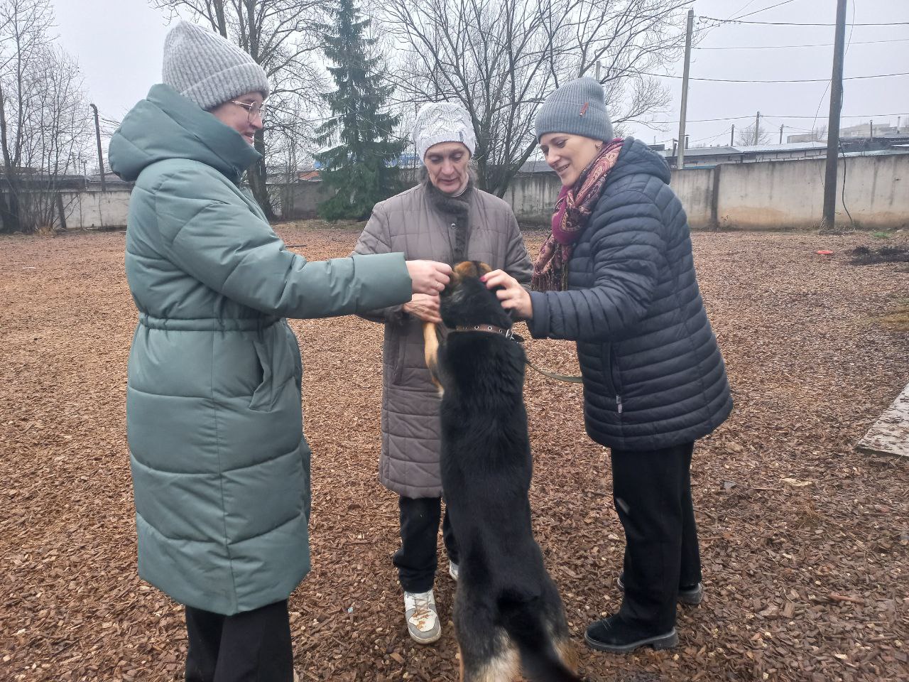 Сотрудники СЗМУ Росприроднадзора посетили приют для домашних животных в Великом Новгороде 