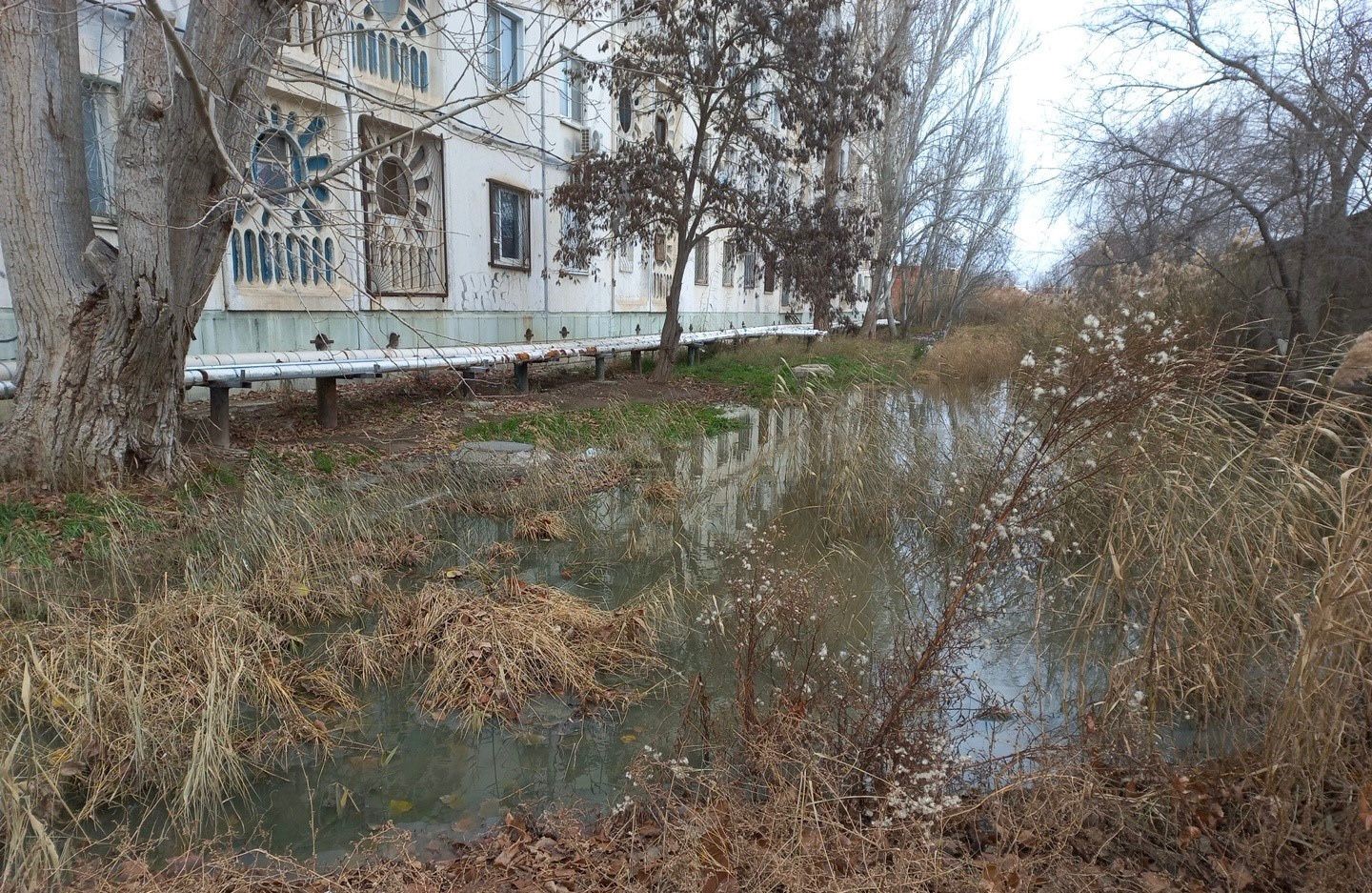 Суд поддержал требования Росприроднадзора о возмещении вреда почвам, в размере 1 млн. 747 тыс. рублей