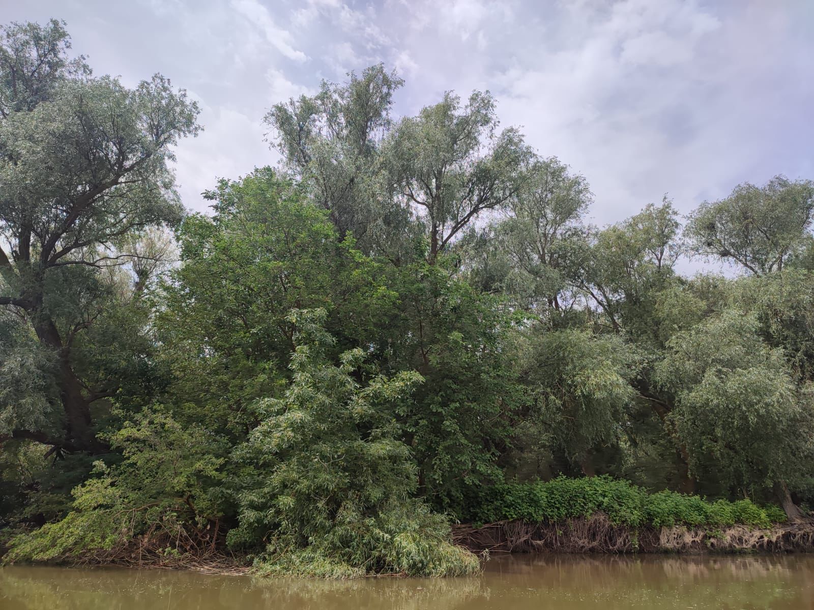 Росприроднадзором проведено выездное обследование лесных территорий Астраханского государственного заповедника 