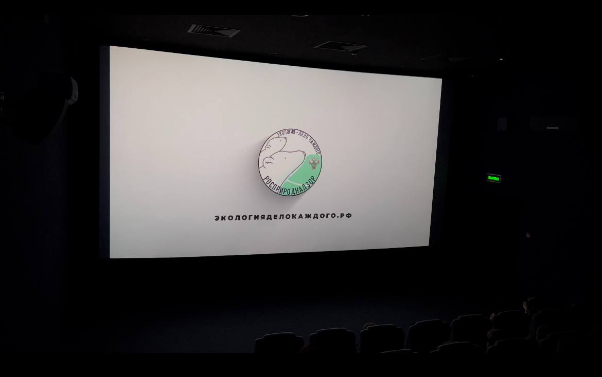Премия «Экология – дело каждого» – на большом экране в Саратове