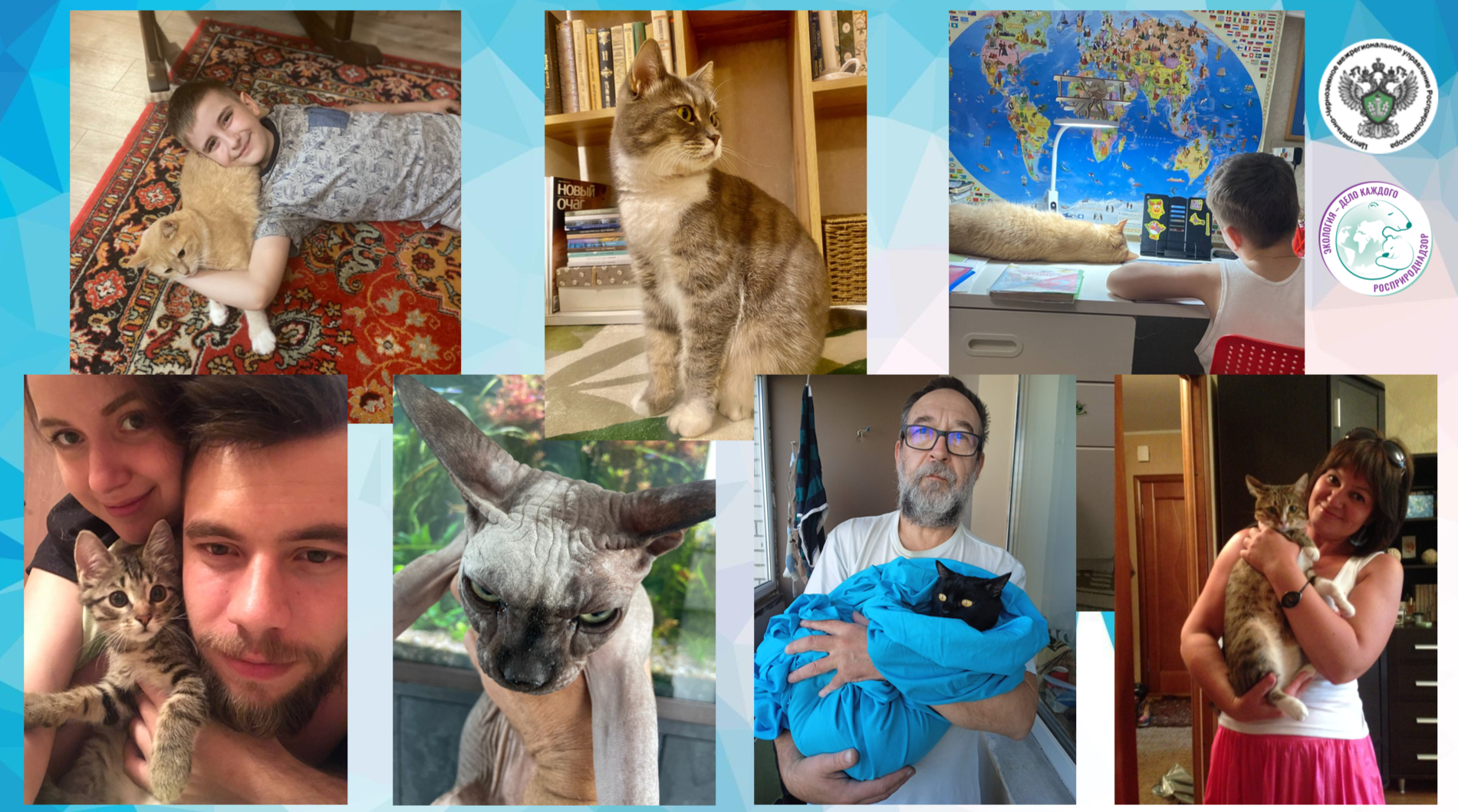 Во Всемирный день кошек и в поддержку премии «Экология — дело каждого» сотрудники Центрально-Черноземного управления Росприроднадзора поделились фотографиями домашних питомцев  