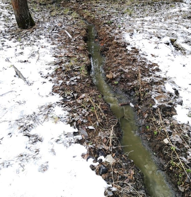 Росприроднадзор проводит административное расследование по факту разлива канализационных стоков в Городецком районе