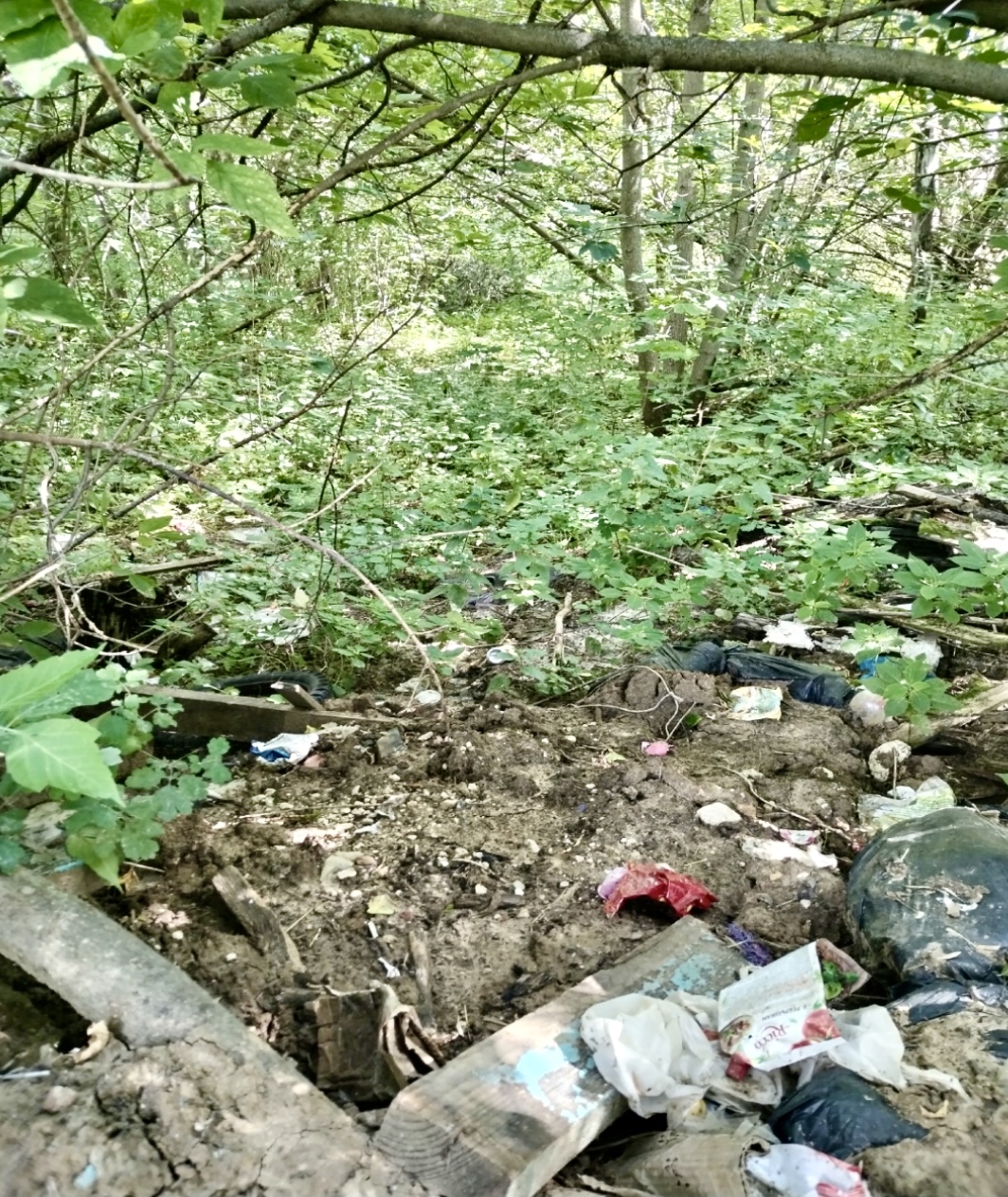 22.08.2023г. в ходе обследования земельного участка в поселке Елатьма Касимовского района вблизи реки Ока в Рязанской области подтвержден факт несанкционированной свалки отходов