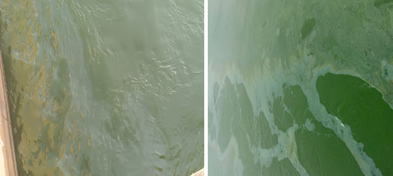 Росприроднадзор добился от ООО «ПК «РусГард» возмещения вреда, причиненного реке Дон, в размере более 1 млн рублей