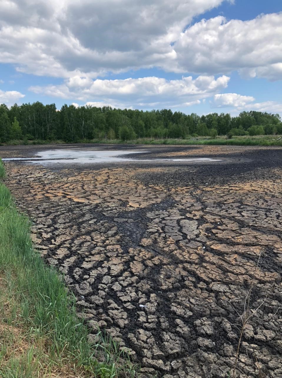 Директор ППМУП «Водоканал» представил в суд фиктивные документы, подтверждающие природоохранные мероприятия  