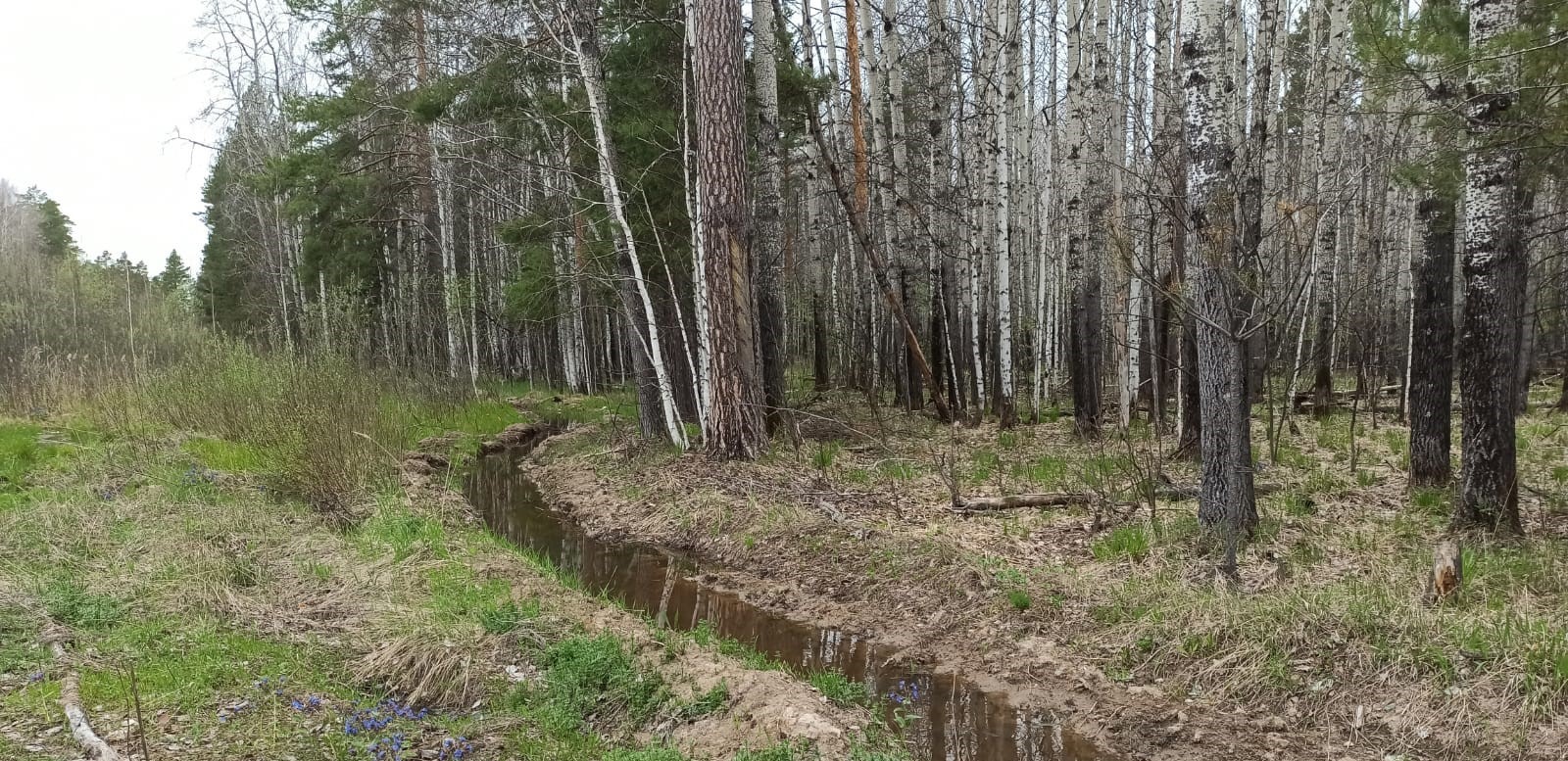 Уральский Росприроднадзор проводит проверку готовности дирекции национального парка «Припышминские боры» к пожароопасному сезону 2025 года
