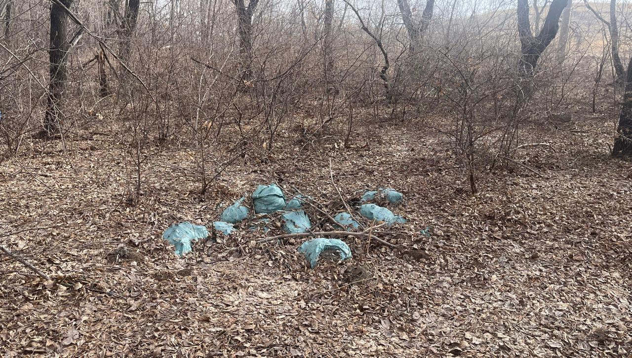 Росприроднадзор провел мероприятия по наблюдению за экологическим состоянием реки Урал и водохранилищ Челябинской области