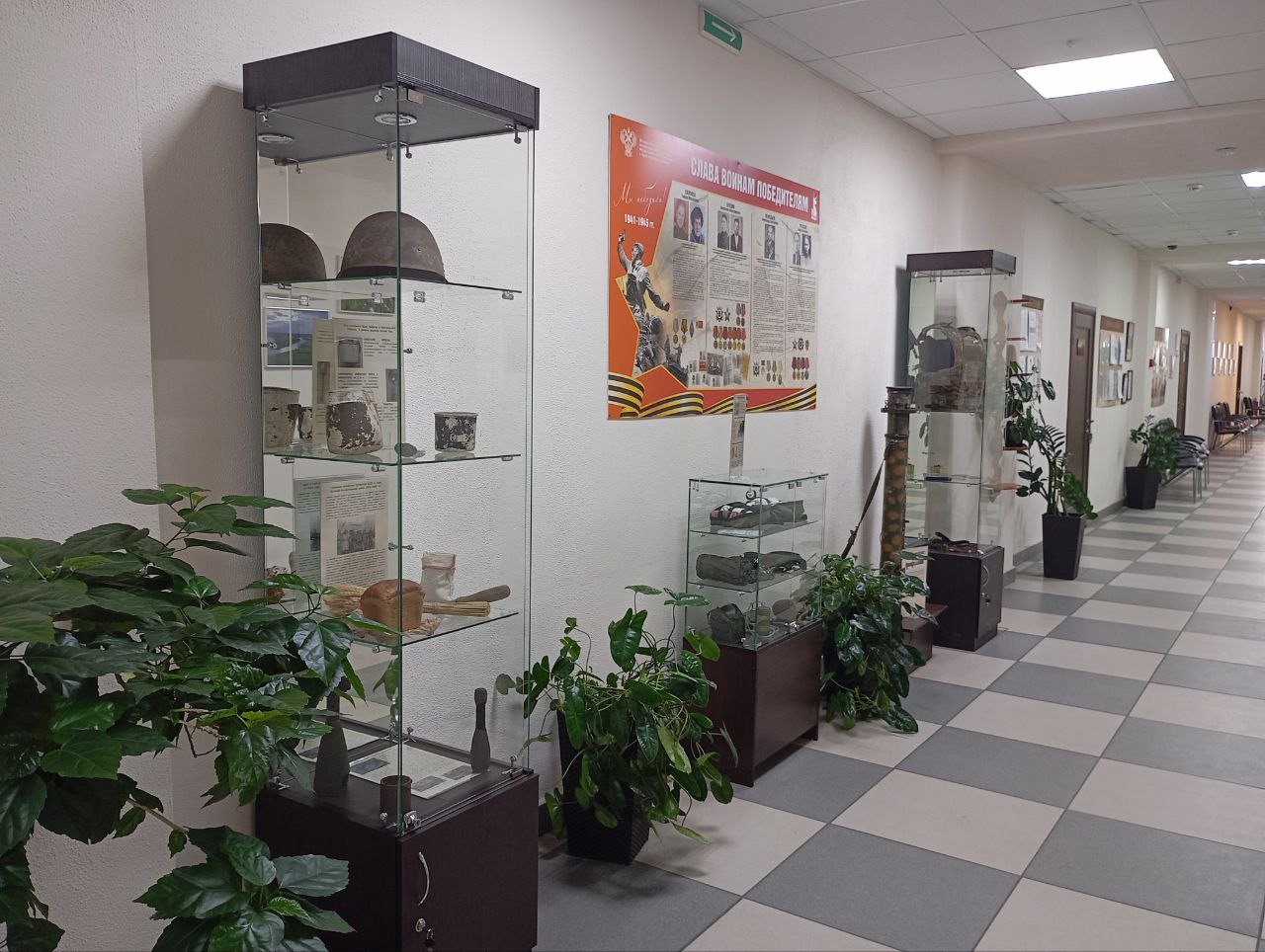 К 80-летию Победы в Великой Отечественной войне в Управлении Росприроднадзора открылась музейная экспозиция воинской славы 