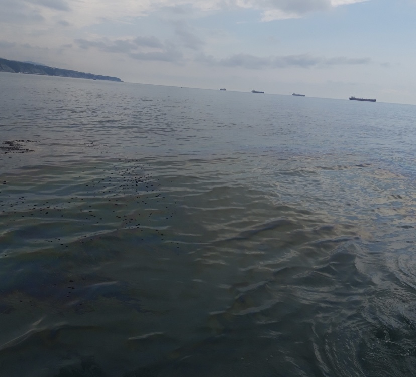 Суд апелляционной инстанции поддержал требования Росприроднадзора о взыскании с                 МУП «ЖКХ города Туапсе» суммы вреда, причиненного Черному морю в размере более 75 млн. руб.