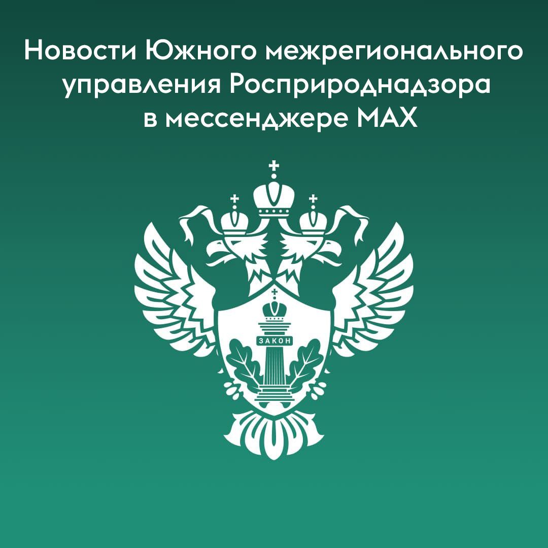 Южное межрегиональное управление Росприроднадзора запустило свой официальный канал в популярном российском мессенджере MАХ