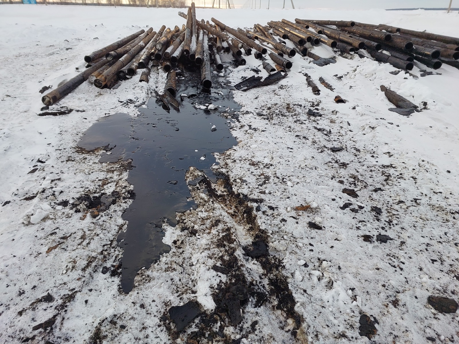 ООО «СтройТранс» причинил вред окружающей среде на 898 тысяч