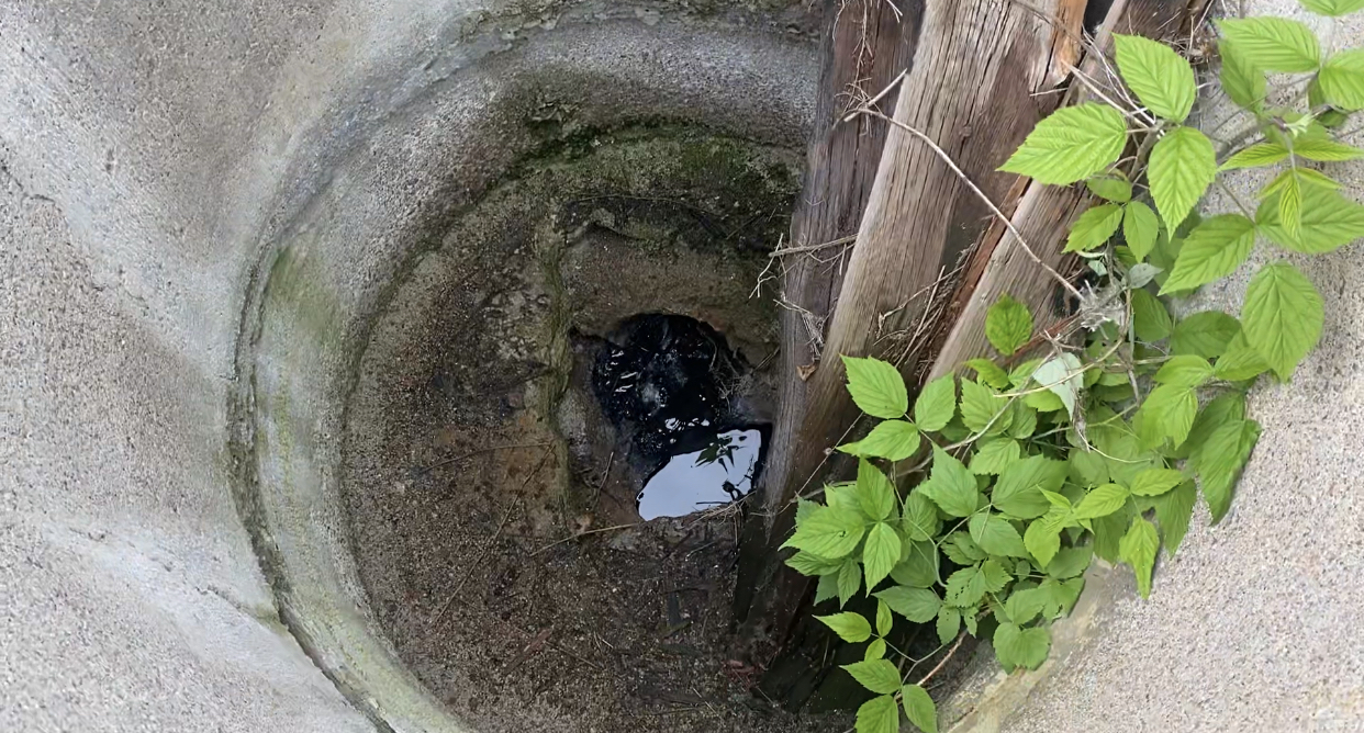 Росприроднадзор по СЗФО проверяет информацию о загрязнении коммунальными стоками озера Красное в Ленинградской области