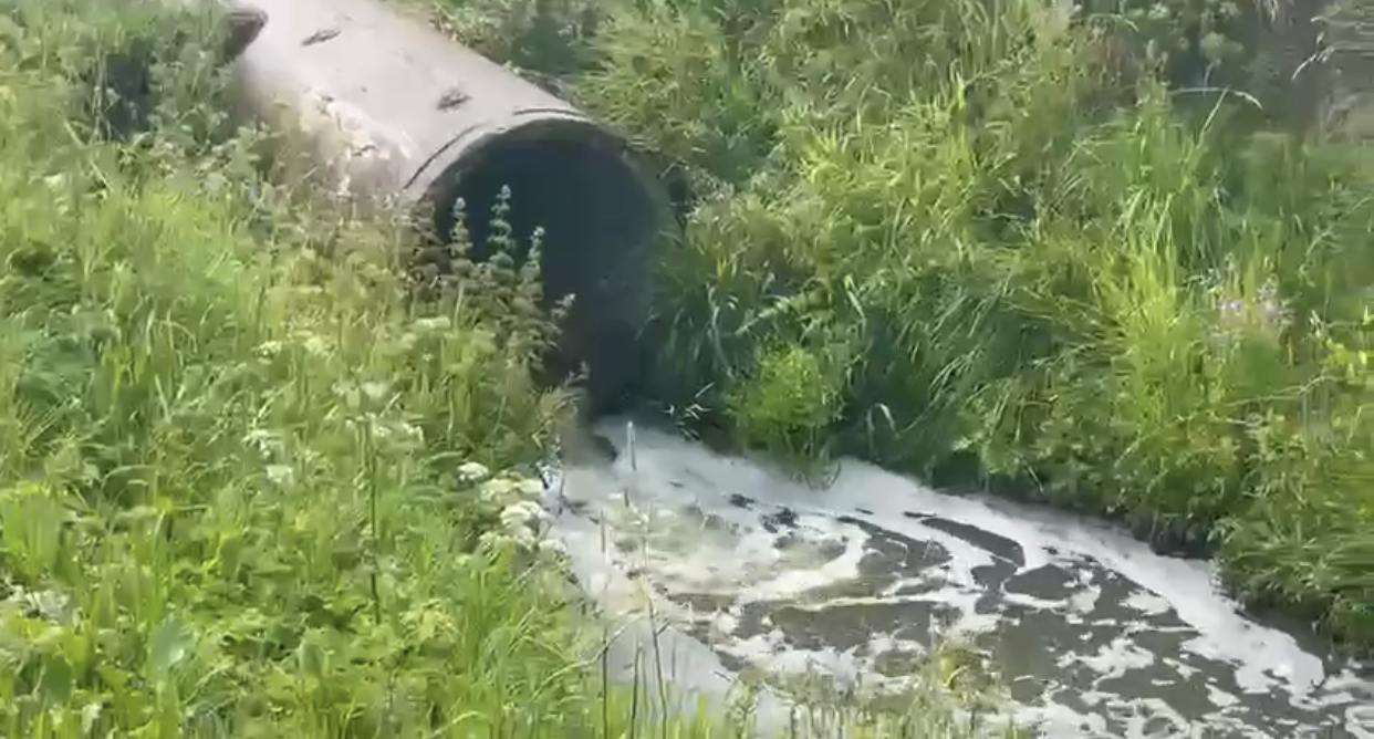 СЗМУ Росприроднадзора установило источник поступления загрязнённых стоков в реку Славянка в Пушкинском районе Петербурга