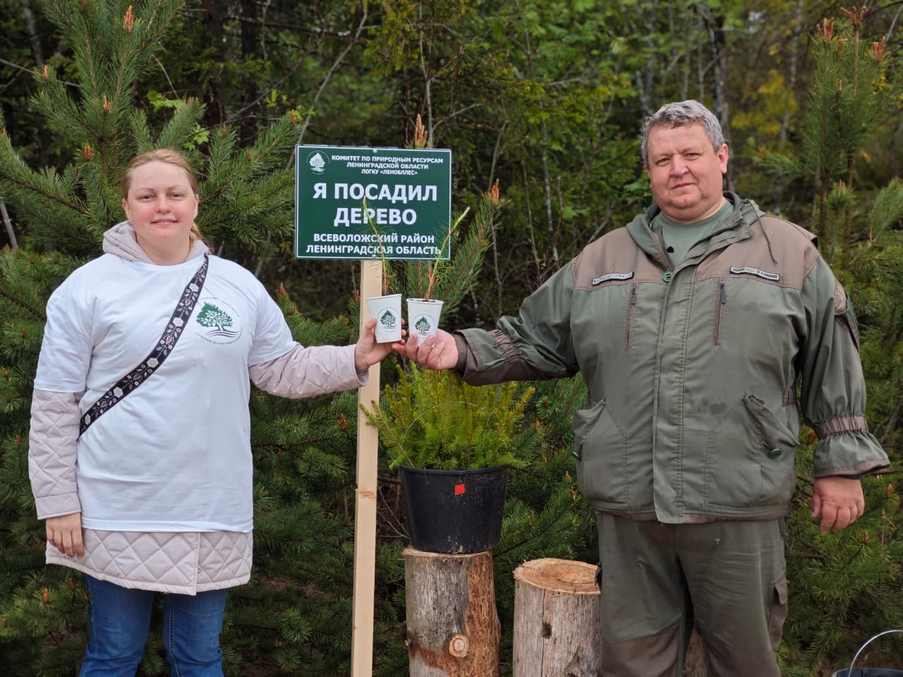 Сотрудники СЗМУ Росприроднадзора приняли участие во Всероссийском дне посадки леса