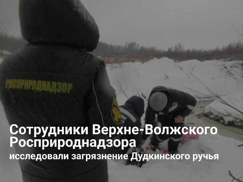 Сотрудники Верхне-Волжского управления Росприроднадзора выявили нарушения в деятельности ООО «ГАЗДизель»