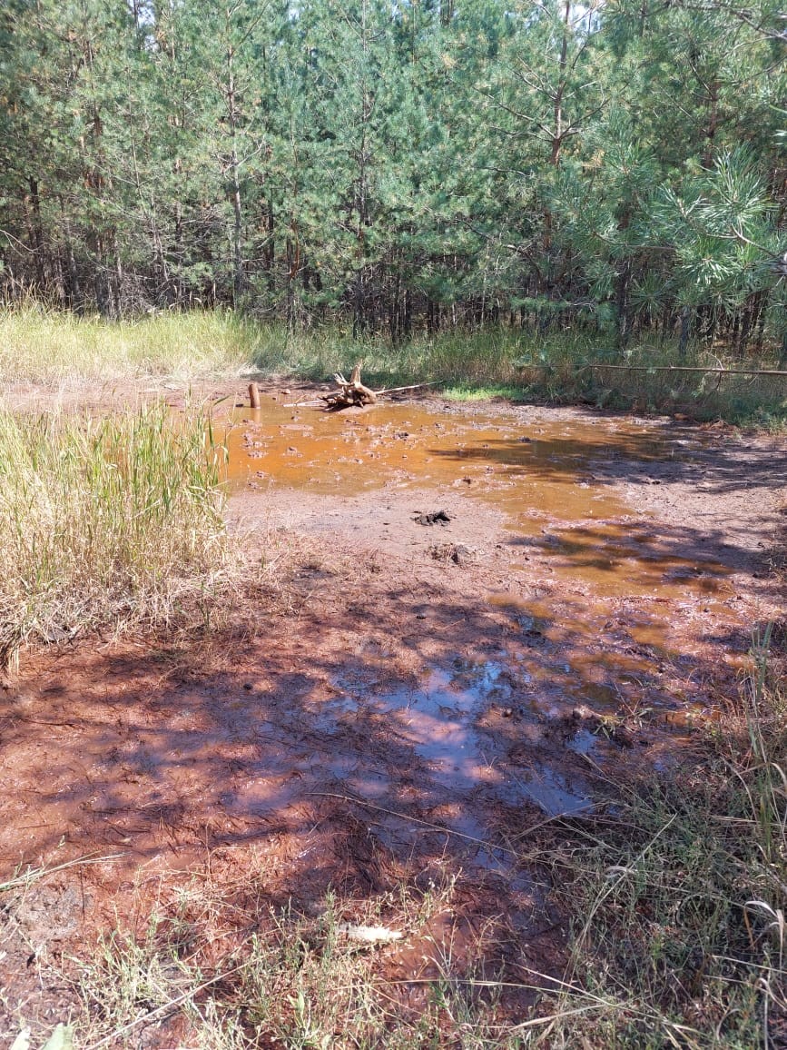 Инспекторы Центрально-Черноземного управления Росприроднадзора провели выездное обследование на территории Новохоперского района (Воронежская область)