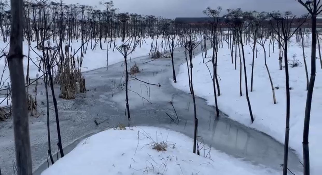 СЗМУ Росприроднадзора зафиксировало сброс загрязненных стоков в реку Ижора