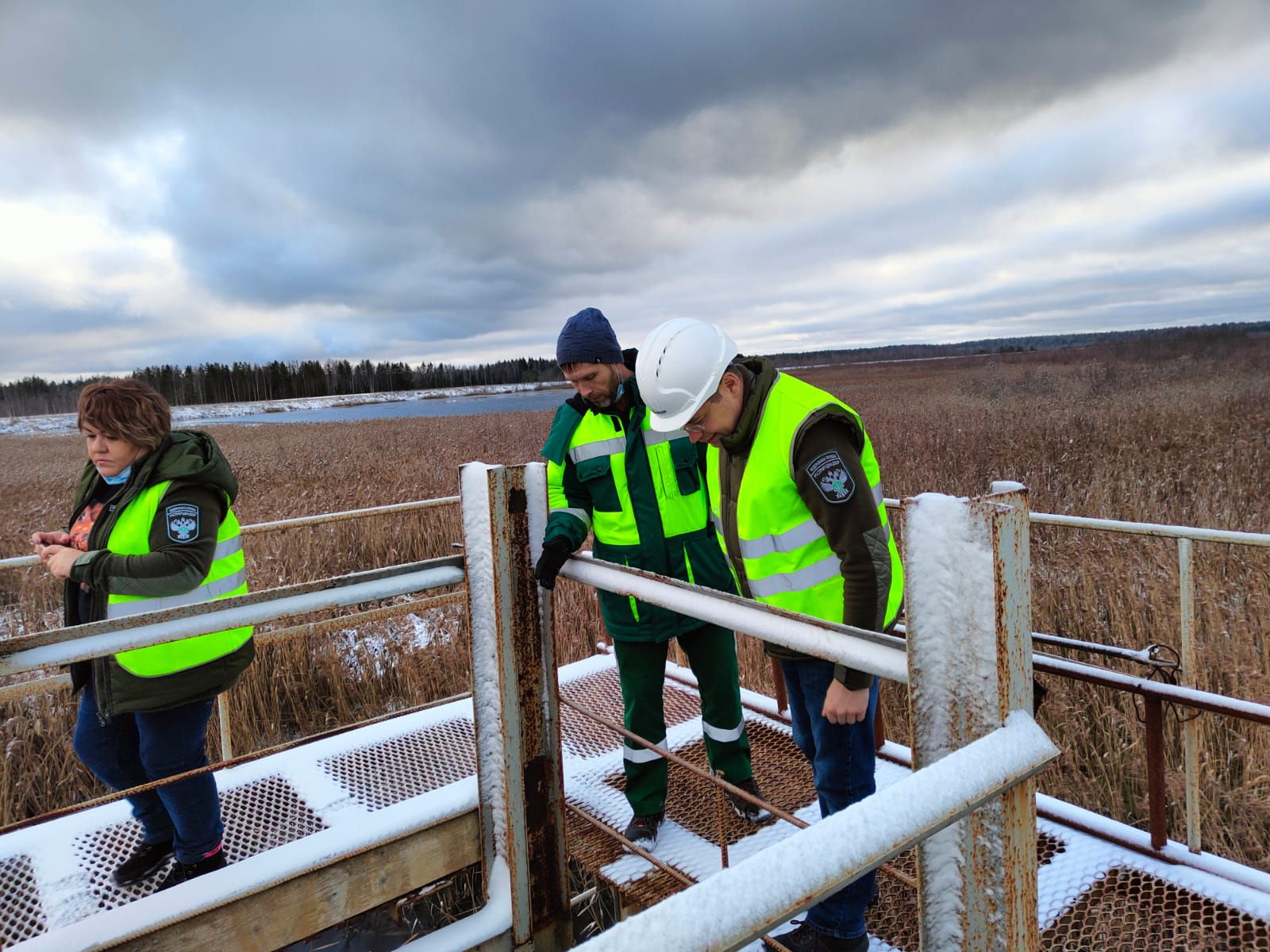 Росприроднадзор начал проверку ЦБК в г. Коряжма