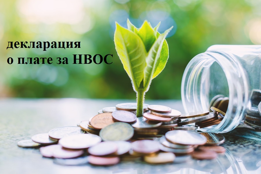 С 15 января 2021 года вступил в силу актуализированный порядок представления в территориальный орган Росприроднадзора декларации о плате за негативное воздействие на окружающую среду.