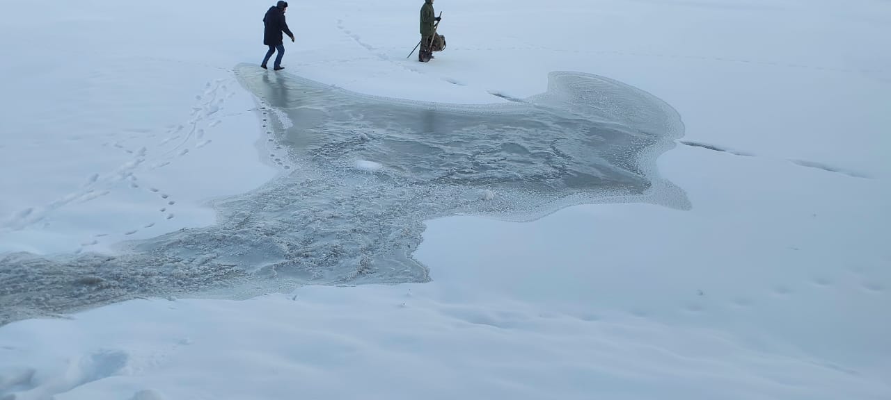 Суд поддержал требования Росприроднадзора и обязал гражданина возместить более 2 млн. рублей за вред, причиненный почвам 