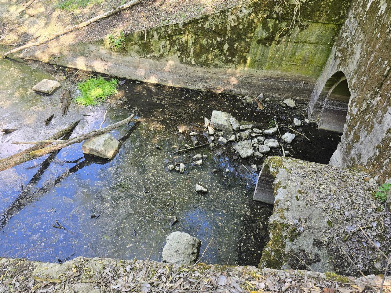 Инспекторы Росприроднадзора проводят выездное обследование в рамках проверки информации СМИ о загрязнении р. Сейм в Курской области 