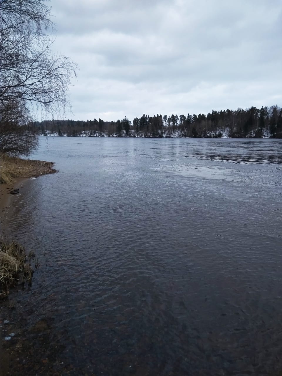 Росприроднадзор по СЗФО через суд требует от производителя бумаги возместить 686 млн рублей ущерба, причиненного реке Вуокса
