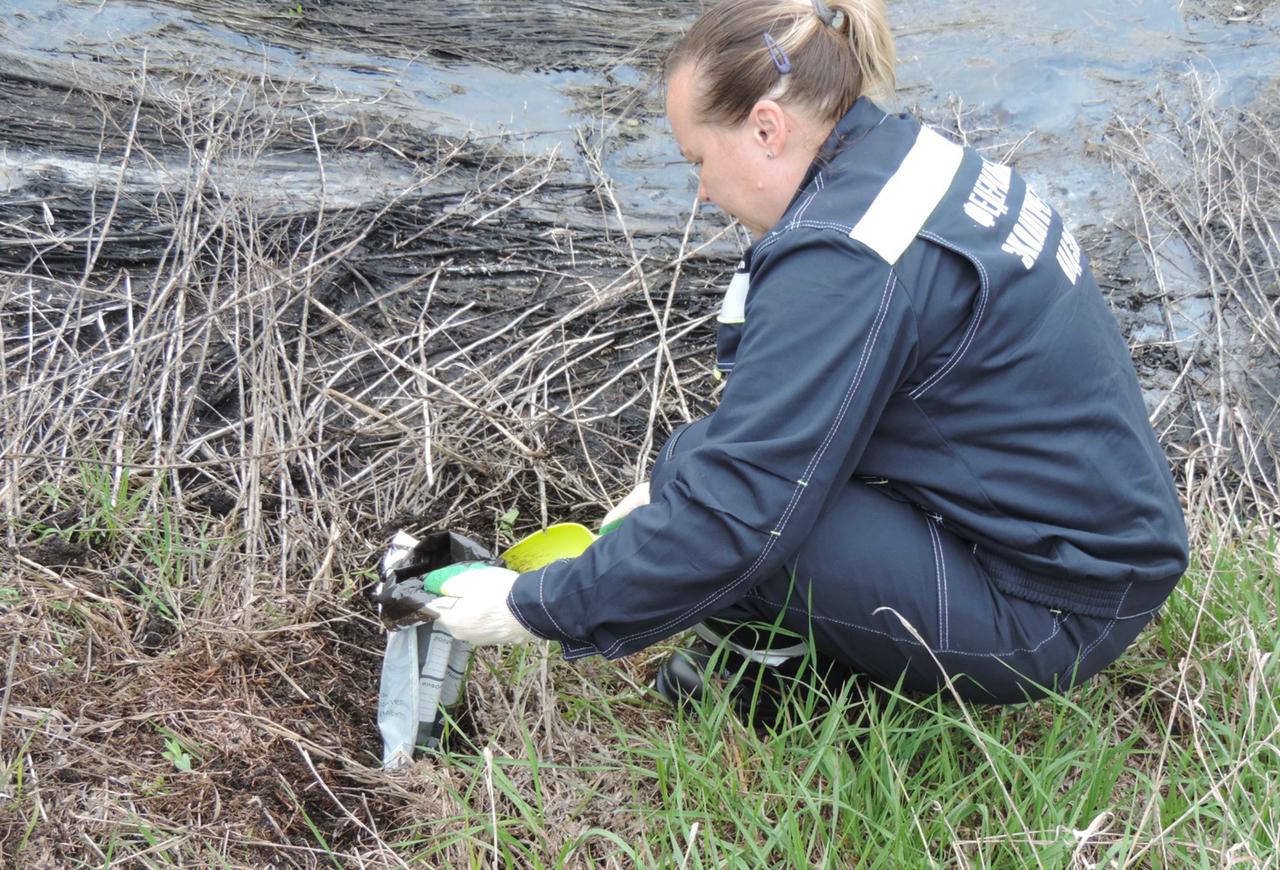 Девятнадцатый арбитражный апелляционный суд Белгородской области поддержал требование Росприроднадзора к ООО «Оптхимэкспорт» о взыскании вреда, причиненного почвам, в размере более 4,3 млн руб. 