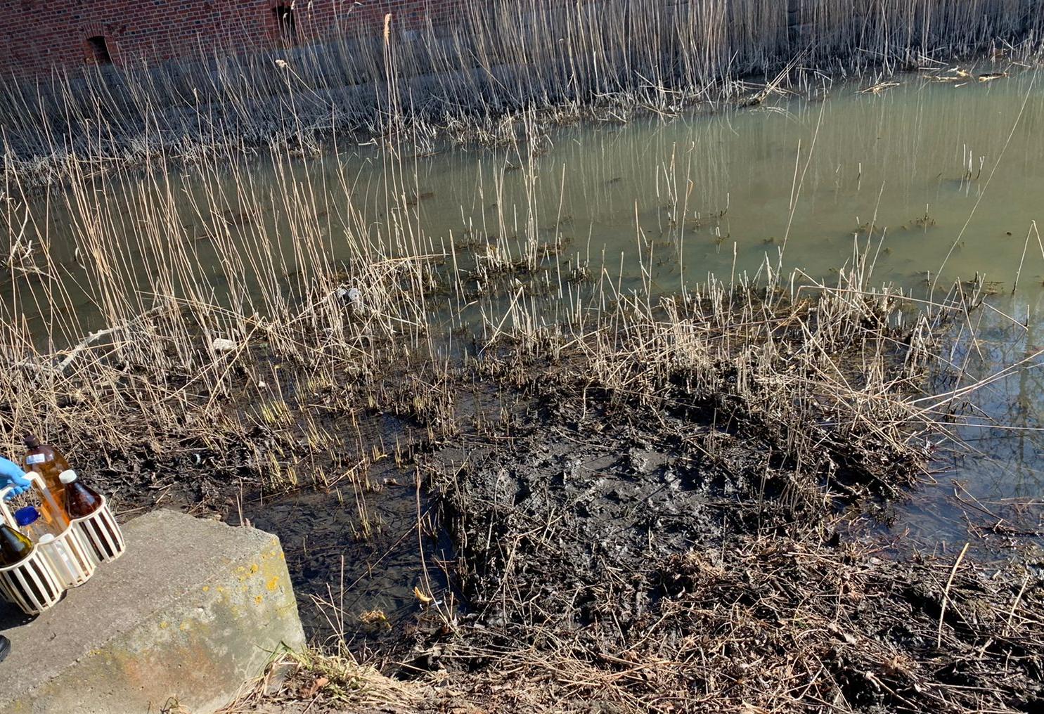 Спортивно-оздоровительный комплекс привлечен к ответственности за сброс неочищенных стоков в ров крепости Пиллау