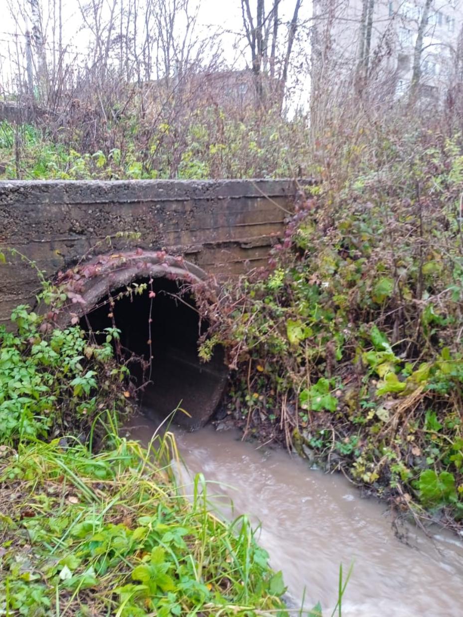 ПАО «Россети Северо-Запад» уплатило штраф за загрязнение реки Волхов  