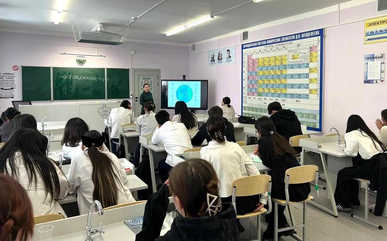 В Кызыле продолжают рассказывать школьникам о Премии Росприроднадзора «Экология – дело каждого»