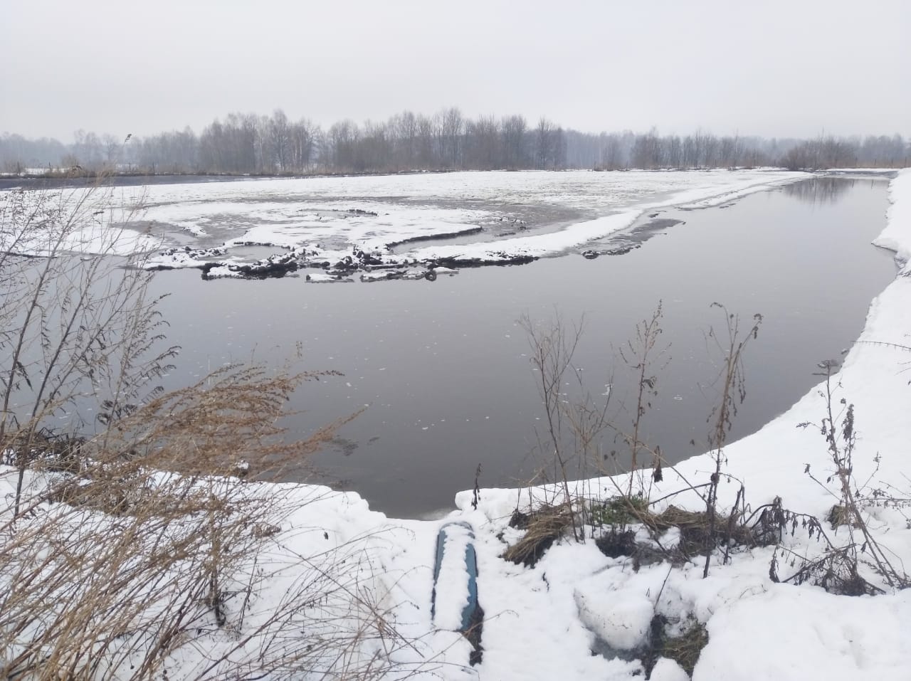 Росприроднадзор выявил нарушение водоохранного режима на р. Пекша Владимирской области