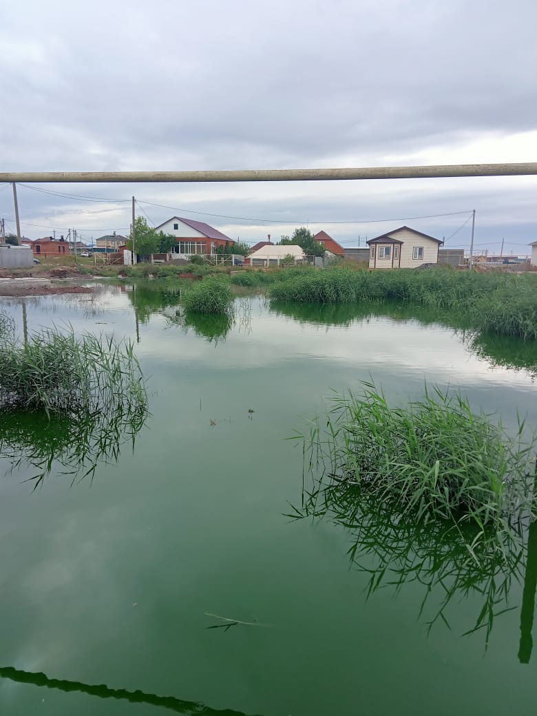 Суд оставил без изменения решение Росприроднадзора, оштрафовавшего районную администрацию в Астраханской области 