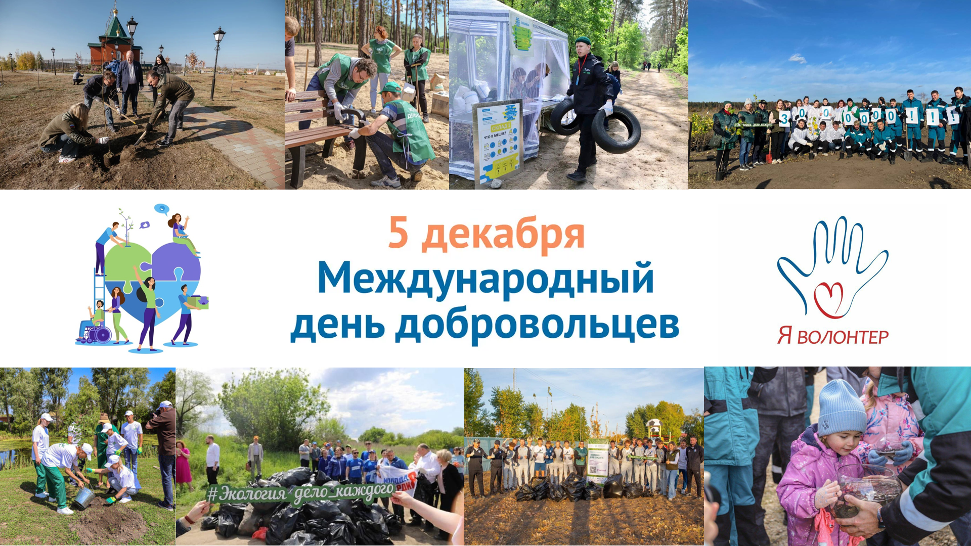 Центрально-Черноземное управление Росприроднадзора поздравляет активистов с Международным днём добровольцев и выражает благодарность за сотрудничество