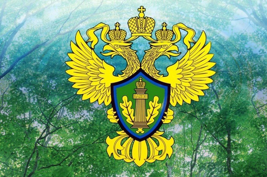 Информация для контролируемых лиц о необходимости обращения в суд только после прохождения процедуры досудебного обжалования решений контрольных (надзорных) органов, действий (бездействия) их должностных лиц