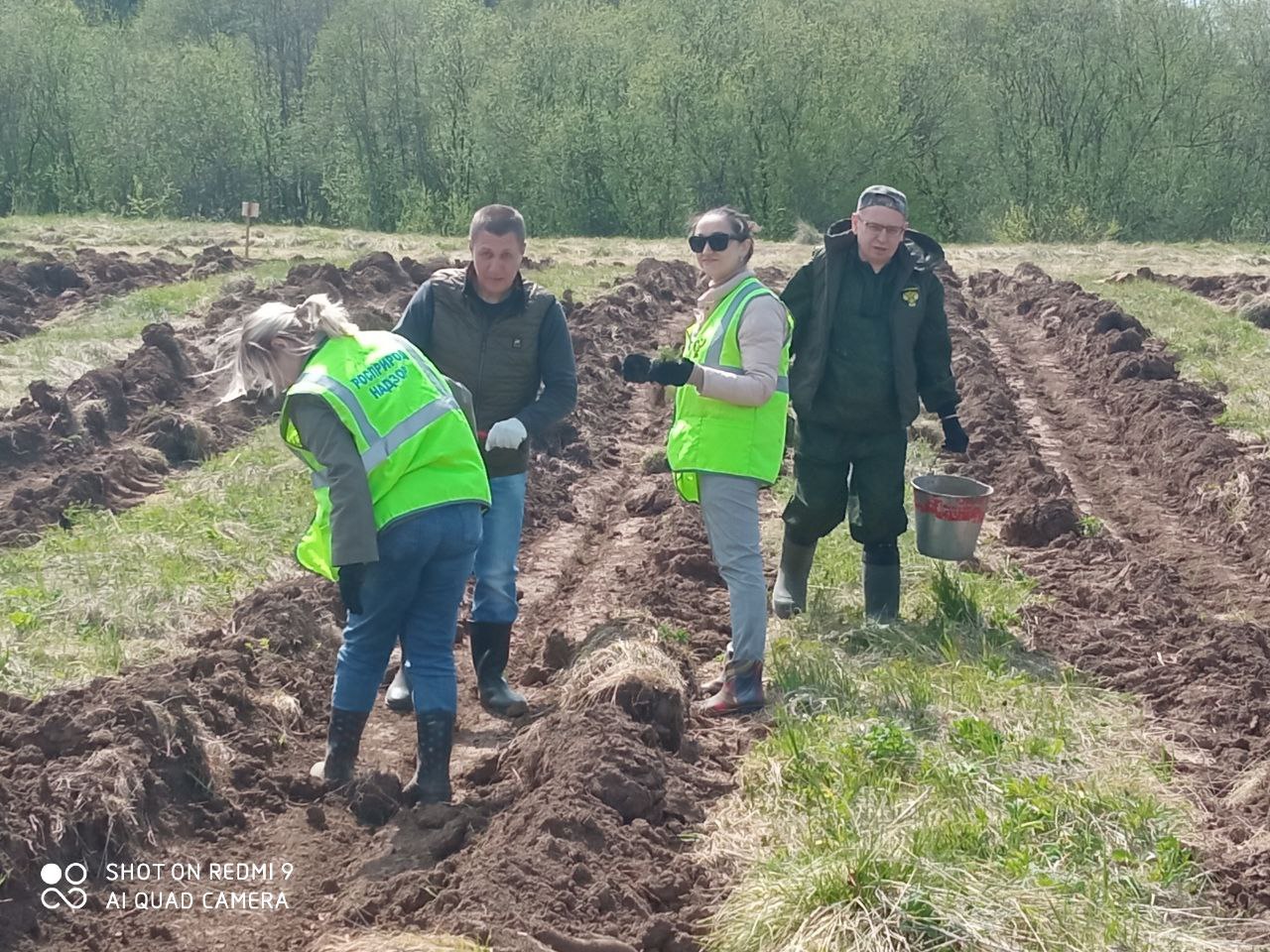 В Кирове сотрудники Росприроднадзора приняли участие в международной акции «Сад памяти»