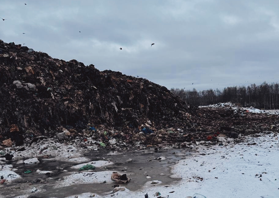  По материалам Росприроднадзора суд приостановил деятельность полигона ТБО в Кстовском районе Нижегородской области