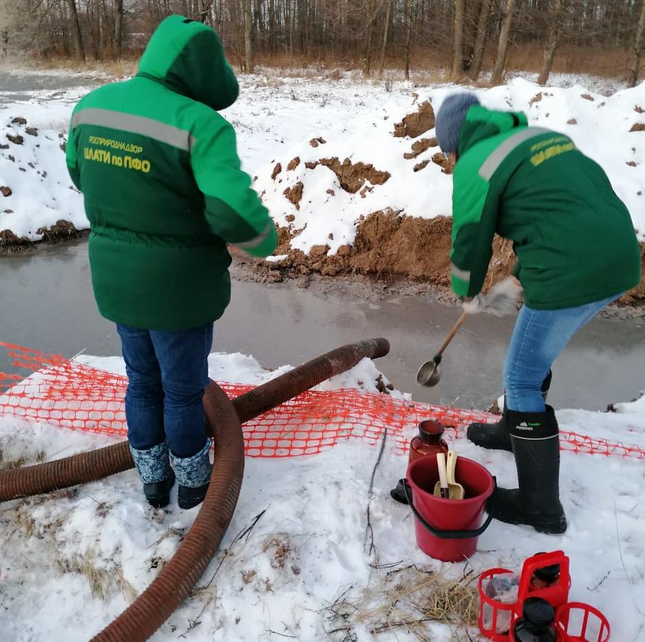 Росприроднадзор проводит административное расследование в Балахнинском районе