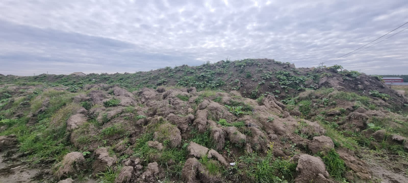 СЗМУ Росприроднадзора требует возместить вред, причиненный несанкционированной свалкой отходов в д. Аннолово Ленинградской области