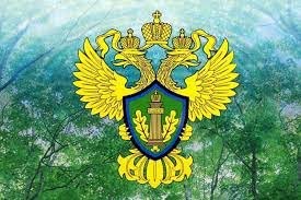 Названо имя победителя конкурса «Лучший инспектор Росприроднадзора» по Нижегородской области и Республике Мордовия 